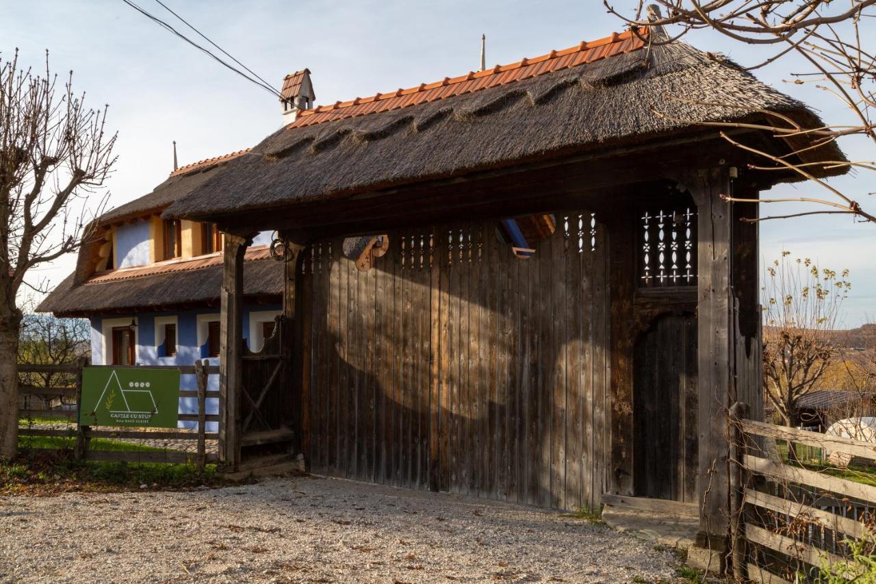 Casele Cu Stuf B&B Haus Ulrike Salicea Ngoại thất bức ảnh