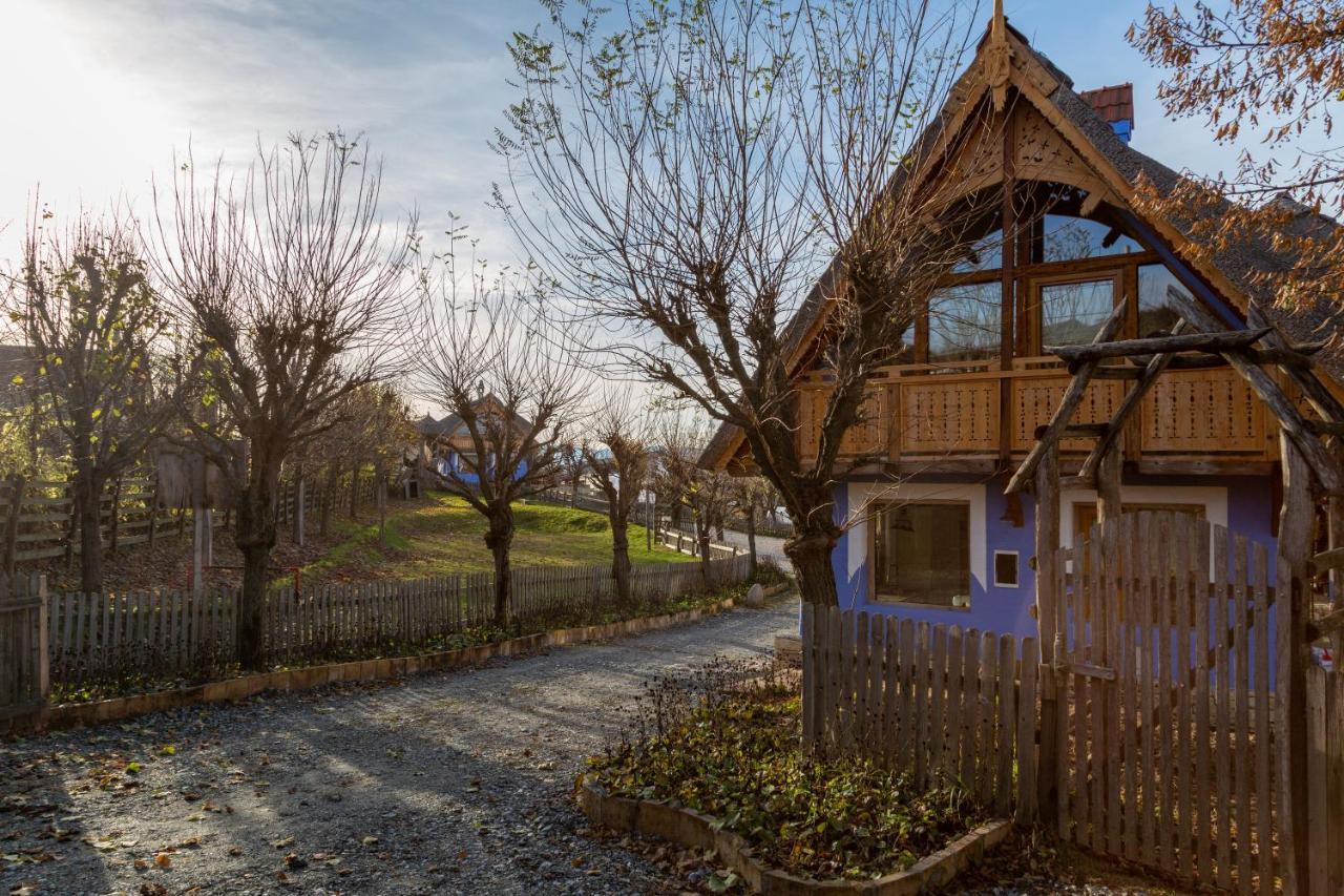 Casele Cu Stuf B&B Haus Ulrike Salicea Ngoại thất bức ảnh