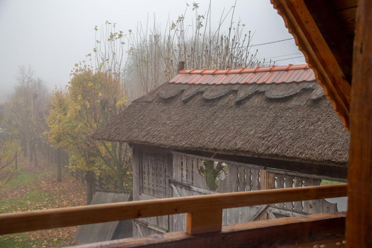 Casele Cu Stuf B&B Haus Ulrike Salicea Ngoại thất bức ảnh