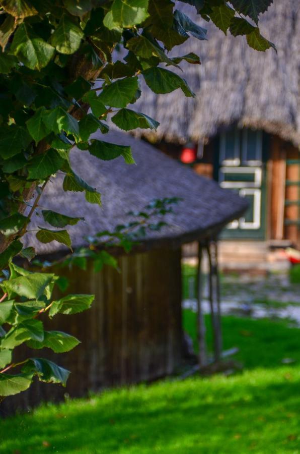 Casele Cu Stuf B&B Haus Ulrike Salicea Ngoại thất bức ảnh