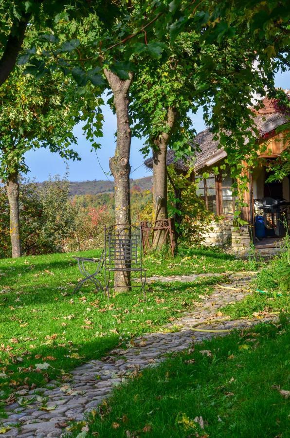 Casele Cu Stuf B&B Haus Ulrike Salicea Ngoại thất bức ảnh