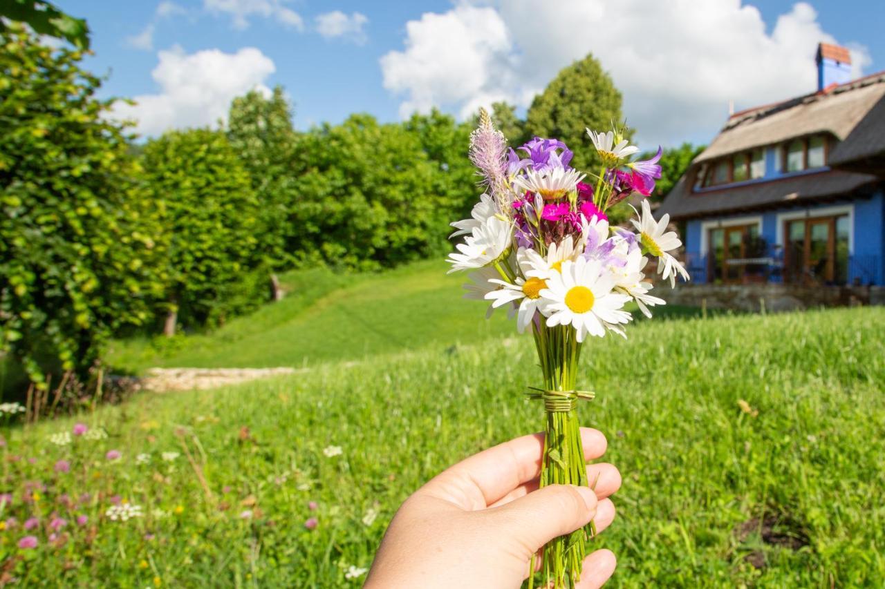 Casele Cu Stuf B&B Haus Ulrike Salicea Ngoại thất bức ảnh