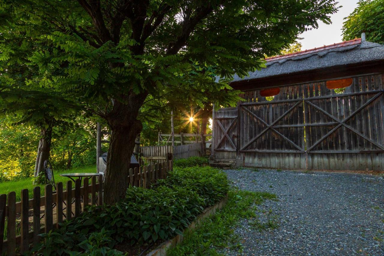 Casele Cu Stuf B&B Haus Ulrike Salicea Ngoại thất bức ảnh